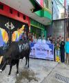 Kadin Indonesia Serahkan Sapi Kurban 650 Kg ke PWNU Kaltim, Simbol Kedekatan dan Sinergi
